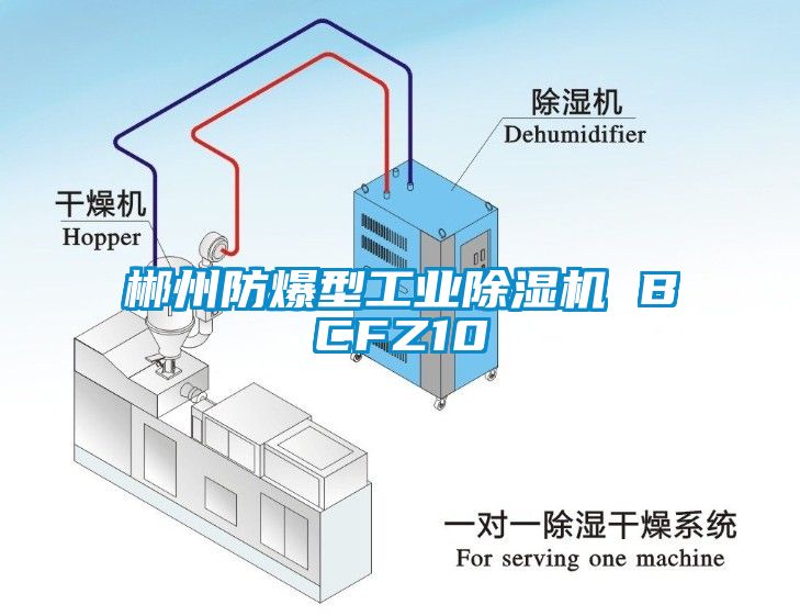 郴州防爆型工业草莓视频APP在线观看 BCFZ10