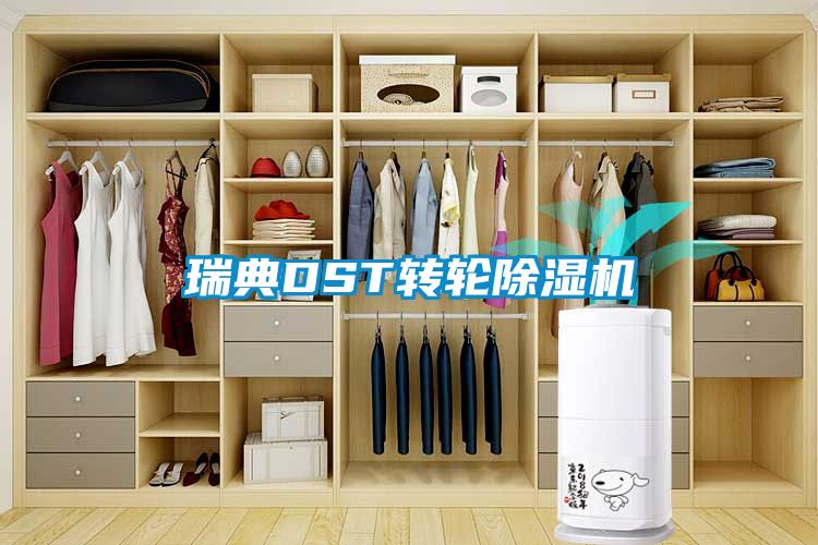 瑞典DST转轮草莓视频APP在线观看