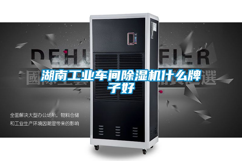 湖南工业车间草莓视频APP在线观看什么牌子好
