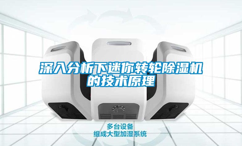 深入分析下迷你转轮草莓视频APP在线观看的技术原理