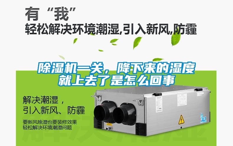 草莓视频APP在线观看一关，降下来的湿度就上去了是怎么回事