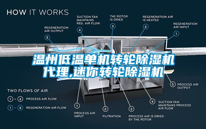 温州低温单机转轮草莓视频APP在线观看代理,迷你转轮草莓视频APP在线观看
