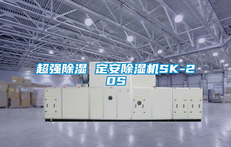 超强除湿 定安草莓视频APP在线观看SK-20S