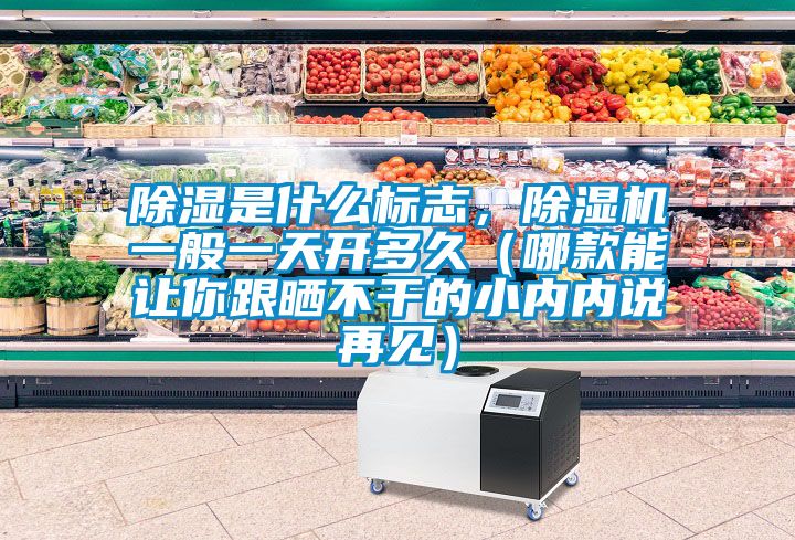 除湿是什么标志，草莓视频APP在线观看一般一天开多久（哪款能让你跟晒不干的小内内说再见）