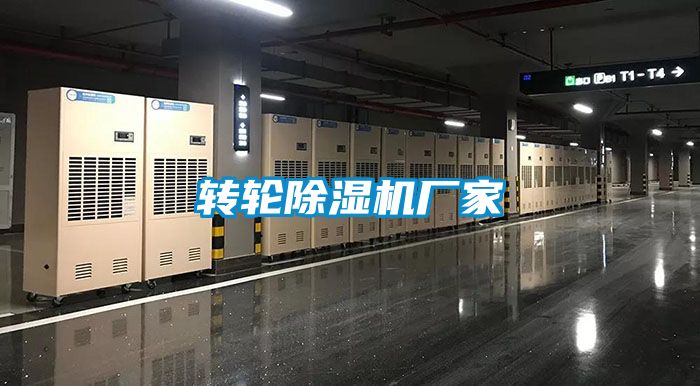 转轮草莓视频APP在线观看厂家