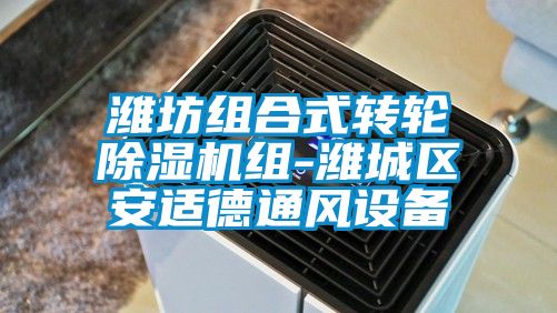 潍坊组合式转轮草莓视频APP在线观看组-潍城区安适德通风设备