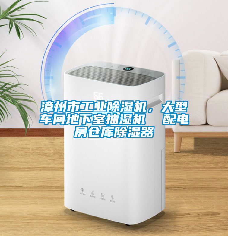 漳州市工业草莓视频APP在线观看，大型车间地下室抽湿机  配电房仓库除湿器
