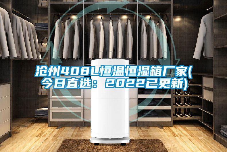 沧州408L恒温恒湿箱厂家(今日直选：2022已更新)