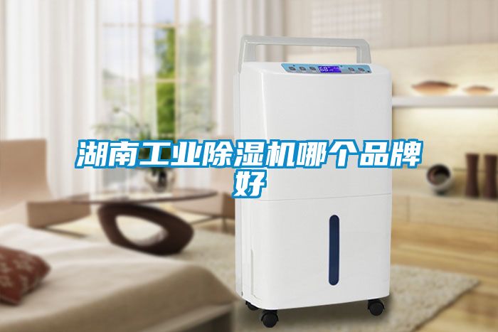 湖南工业草莓视频APP在线观看哪个品牌好