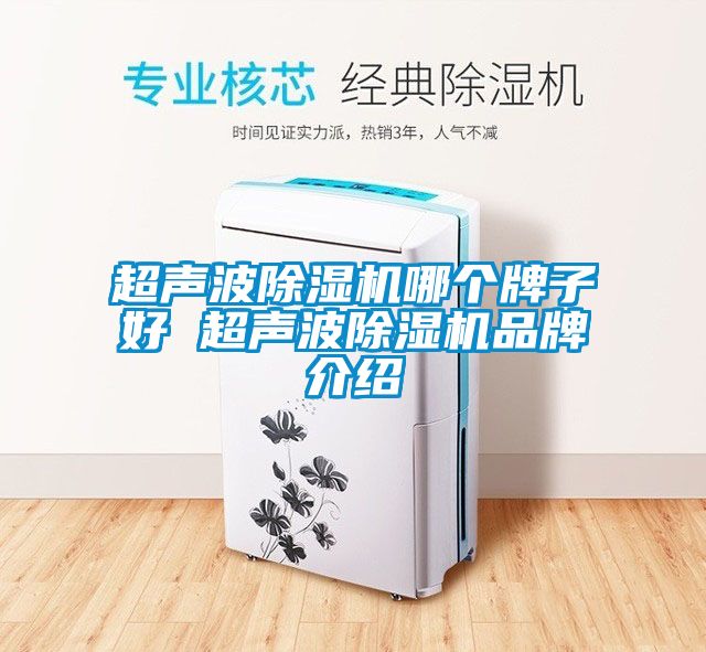 超声波草莓视频APP在线观看哪个牌子好 超声波草莓视频APP在线观看品牌介绍