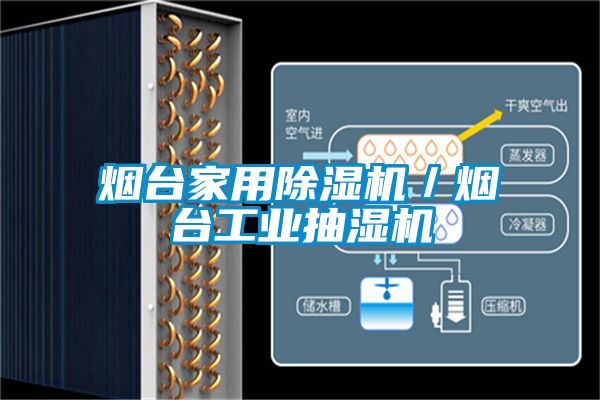 烟台家用草莓视频APP在线观看／烟台工业抽湿机