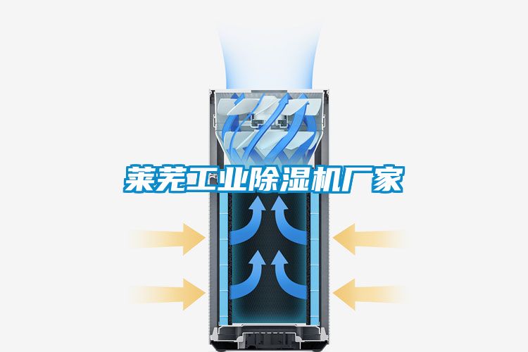 莱芜工业草莓视频APP在线观看厂家