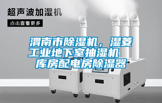 渭南市草莓视频APP在线观看，湿菱工业地下室抽湿机  库房配电房除湿器