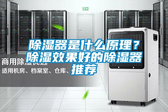 除湿器是什么原理？除湿效果好的除湿器推荐