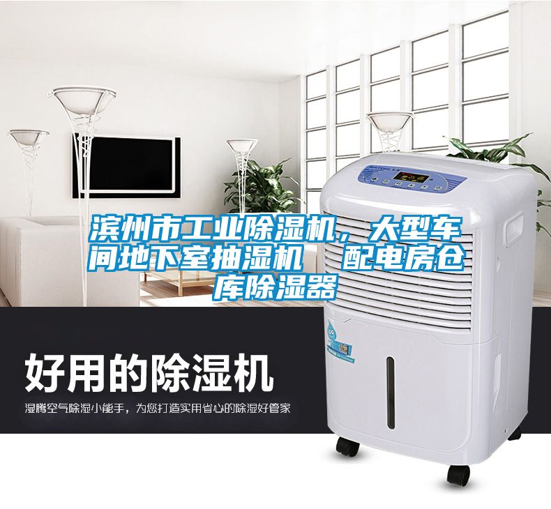 滨州市工业草莓视频APP在线观看，大型车间地下室抽湿机  配电房仓库除湿器