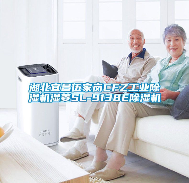 湖北宜昌伍家岗CFZ工业草莓视频APP在线观看湿菱SL-9138E草莓视频APP在线观看