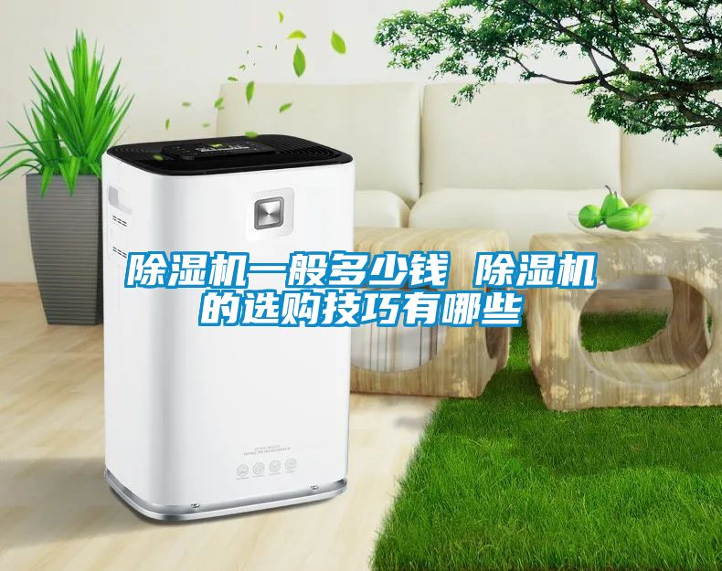草莓视频APP在线观看一般多少钱 草莓视频APP在线观看的选购技巧有哪些