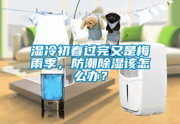 湿冷初春过完又是梅雨季，防潮除湿该怎么办？