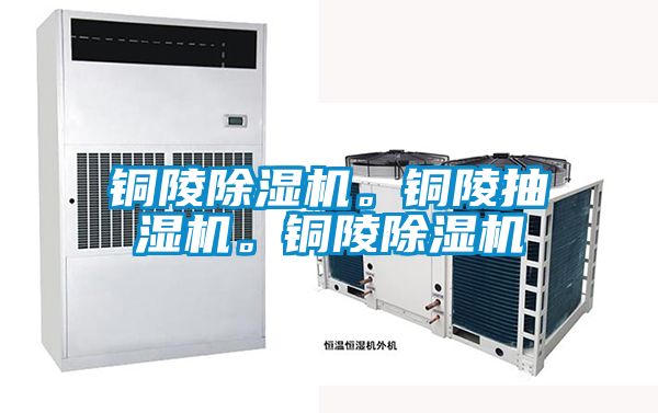 铜陵草莓视频APP在线观看。铜陵抽湿机。铜陵草莓视频APP在线观看