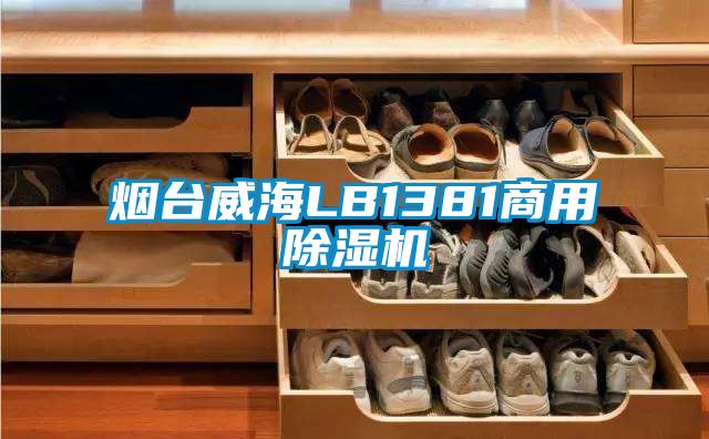 烟台威海LB1381商用草莓视频APP在线观看