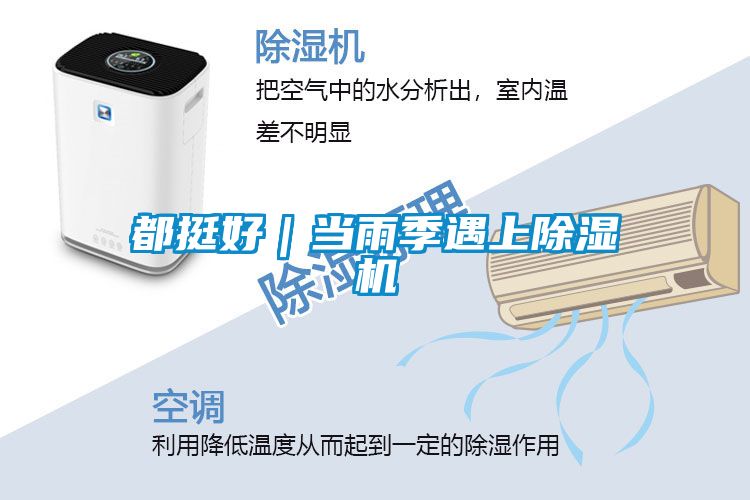都挺好｜当雨季遇上草莓视频APP在线观看