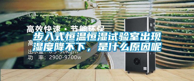 步入式恒温恒湿试验室出现湿度降不下，是什么原因呢