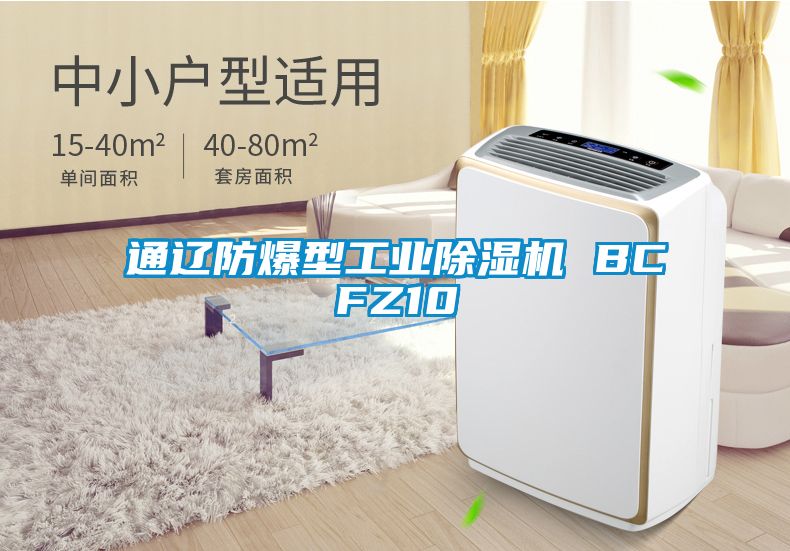 通辽防爆型工业草莓视频APP在线观看 BCFZ10