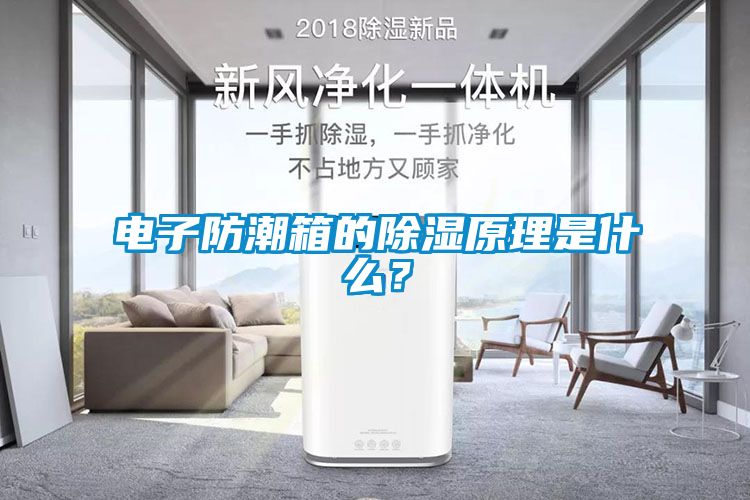 电子防潮箱的除湿原理是什么？