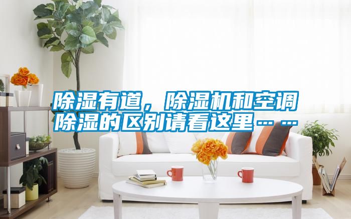 除湿有道，草莓视频APP在线观看和空调除湿的区别请看这里……