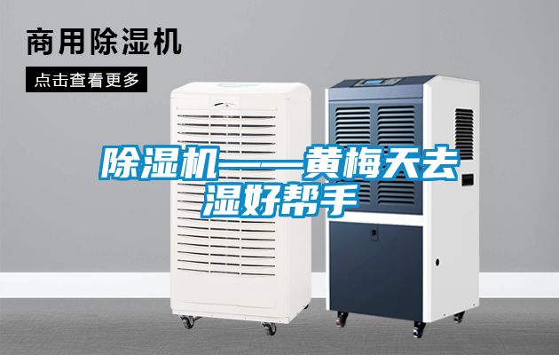 草莓视频APP在线观看——黄梅天去湿好帮手