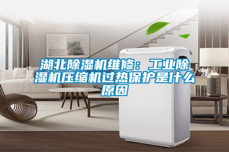 湖北草莓视频APP在线观看维修：工业草莓视频APP在线观看压缩机过热保护是什么原因