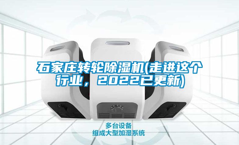 石家庄转轮草莓视频APP在线观看(走进这个行业，2022已更新)