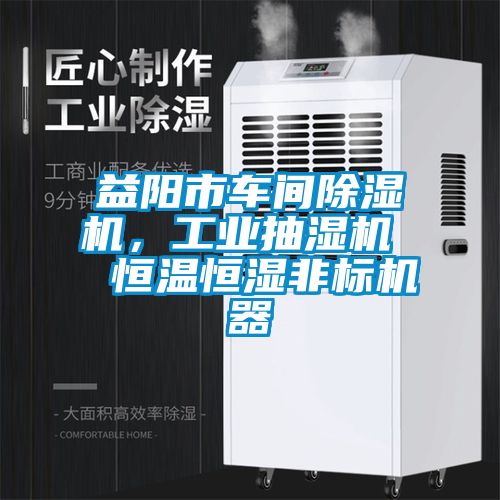 益阳市车间草莓视频APP在线观看，工业抽湿机  恒温恒湿非标机器