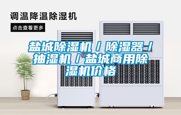 盐城草莓视频APP在线观看／除湿器／抽湿机／盐城商用草莓视频APP在线观看价格