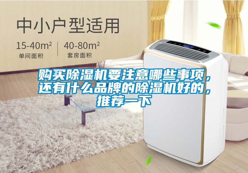 购买草莓视频APP在线观看要注意哪些事项，还有什么品牌的草莓视频APP在线观看好的，推荐一下