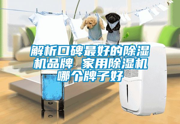 解析口碑最好的草莓视频APP在线观看品牌 家用草莓视频APP在线观看哪个牌子好