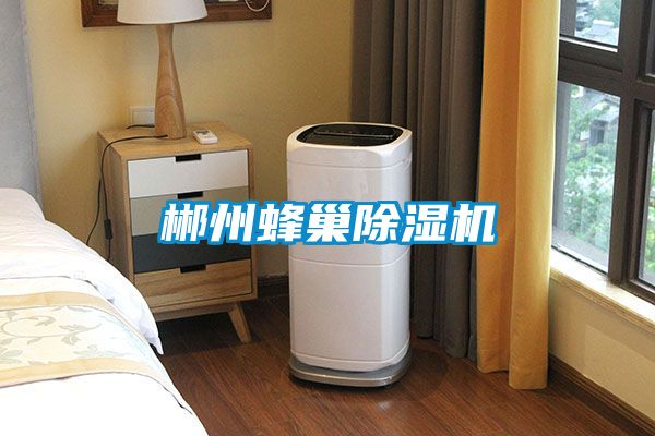 郴州蜂巢草莓视频APP在线观看