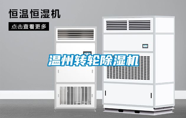 温州转轮草莓视频APP在线观看