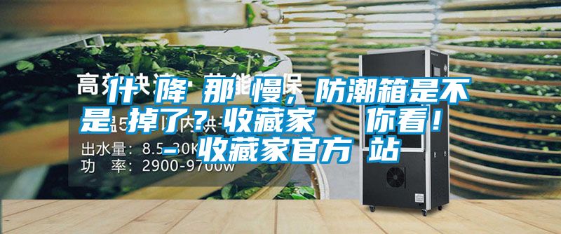 為什麼降濕那麼慢，防潮箱是不是壞掉了？收藏家實測給你看！ - 收藏家官方網站