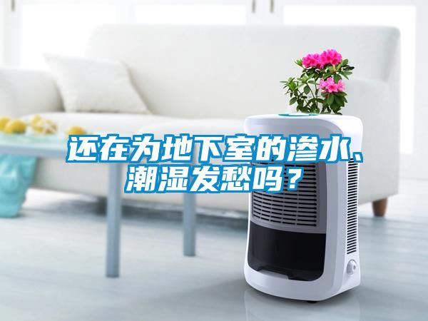 还在为地下室的渗水、潮湿发愁吗？