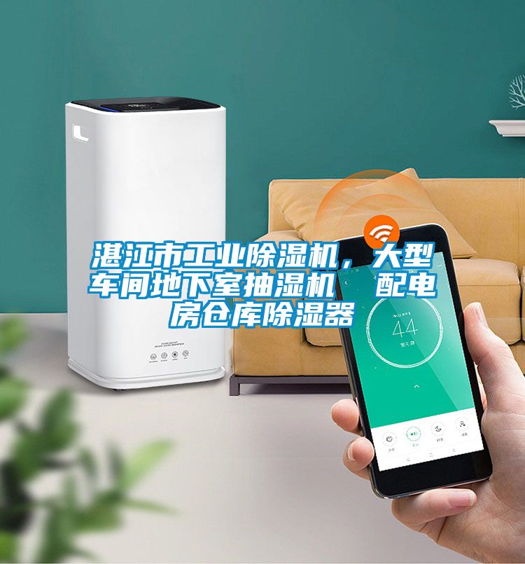 湛江市工业草莓视频APP在线观看，大型车间地下室抽湿机  配电房仓库除湿器