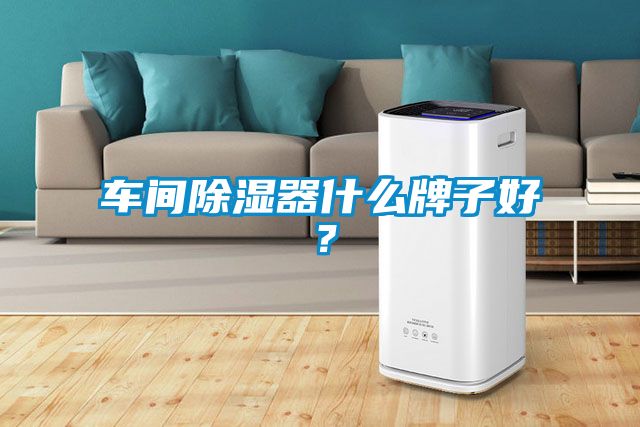 车间除湿器什么牌子好？