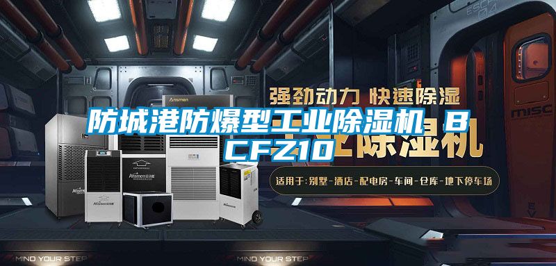 防城港防爆型工业草莓视频APP在线观看 BCFZ10