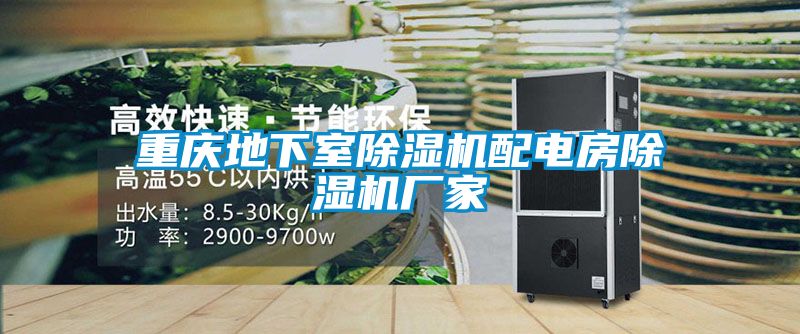 重庆地下室草莓视频APP在线观看配电房草莓视频APP在线观看厂家