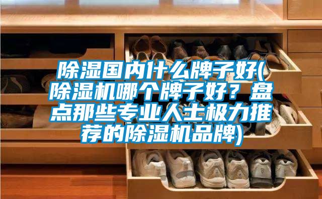 除湿国内什么牌子好(草莓视频APP在线观看哪个牌子好？盘点那些专业人士极力推荐的草莓视频APP在线观看品牌)