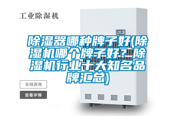 除湿器哪种牌子好(草莓视频APP在线观看哪个牌子好？草莓视频APP在线观看行业十大知名品牌汇总)