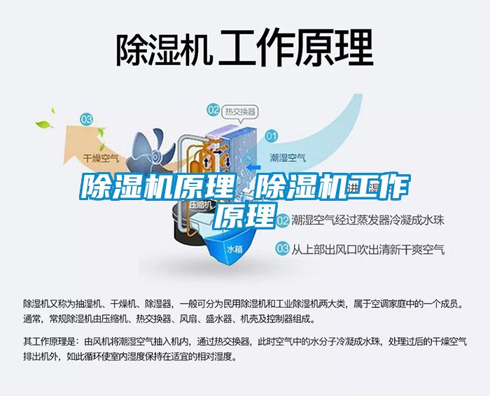 草莓视频APP在线观看原理 草莓视频APP在线观看工作原理