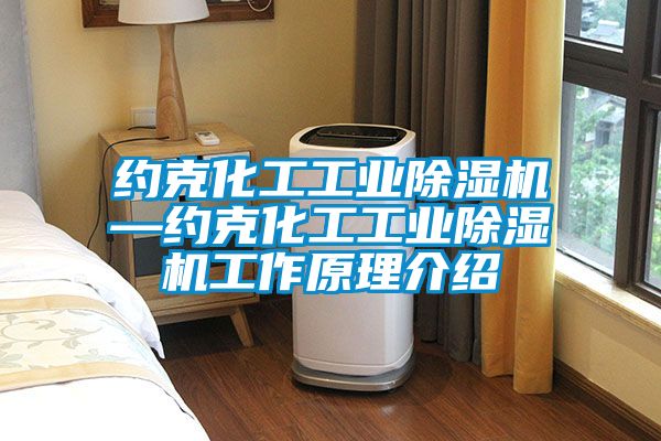 约克化工工业草莓视频APP在线观看—约克化工工业草莓视频APP在线观看工作原理介绍