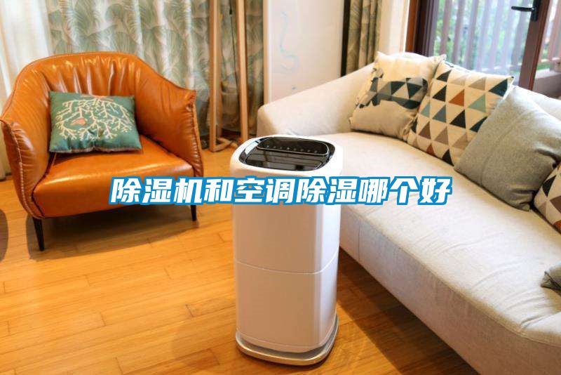 草莓视频APP在线观看和空调除湿哪个好