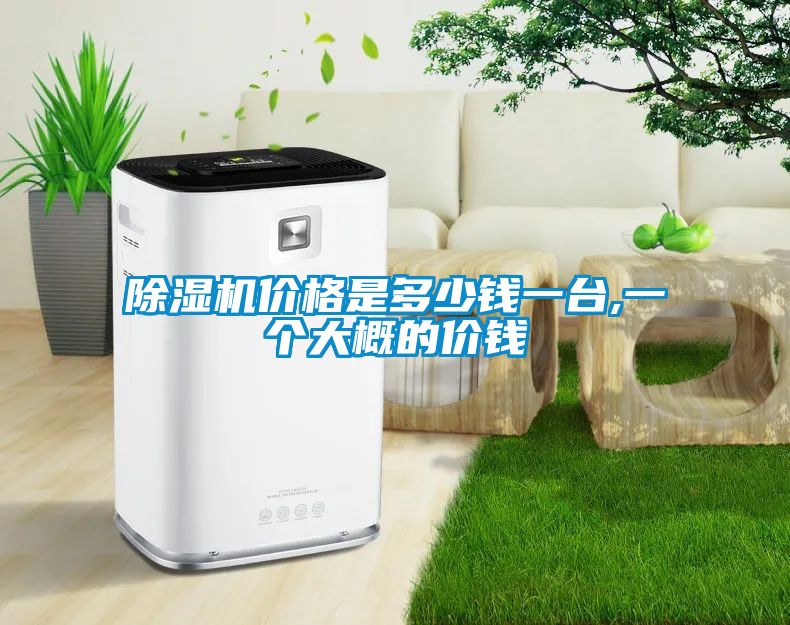 草莓视频APP在线观看价格是多少钱一台,一个大概的价钱